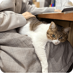 【この記事を書いた人】　めめ